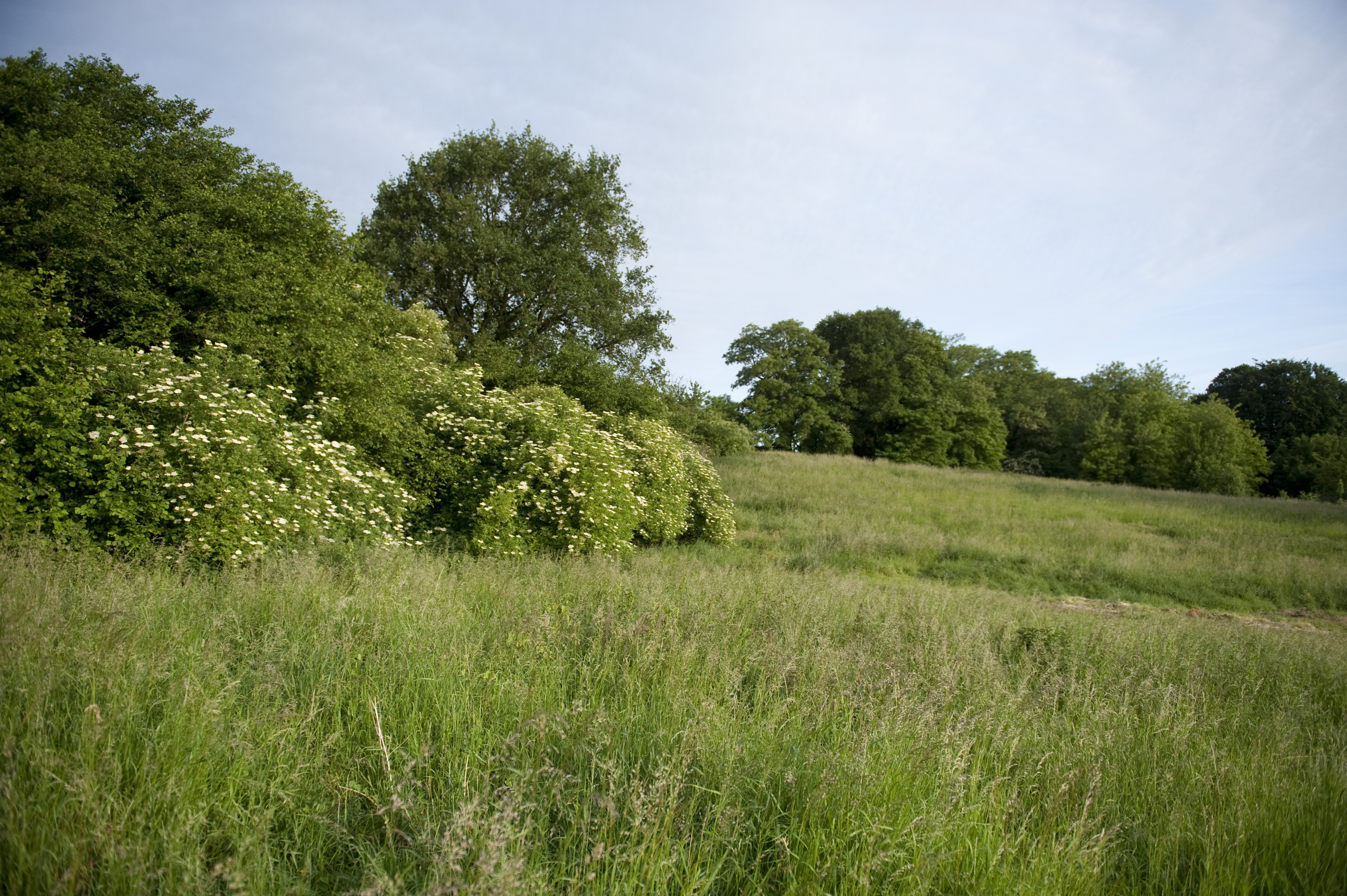 Graft Zuid-Limburg